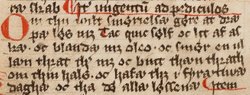 Tekst fra lægebog fra første halvdel af 1400-tallet